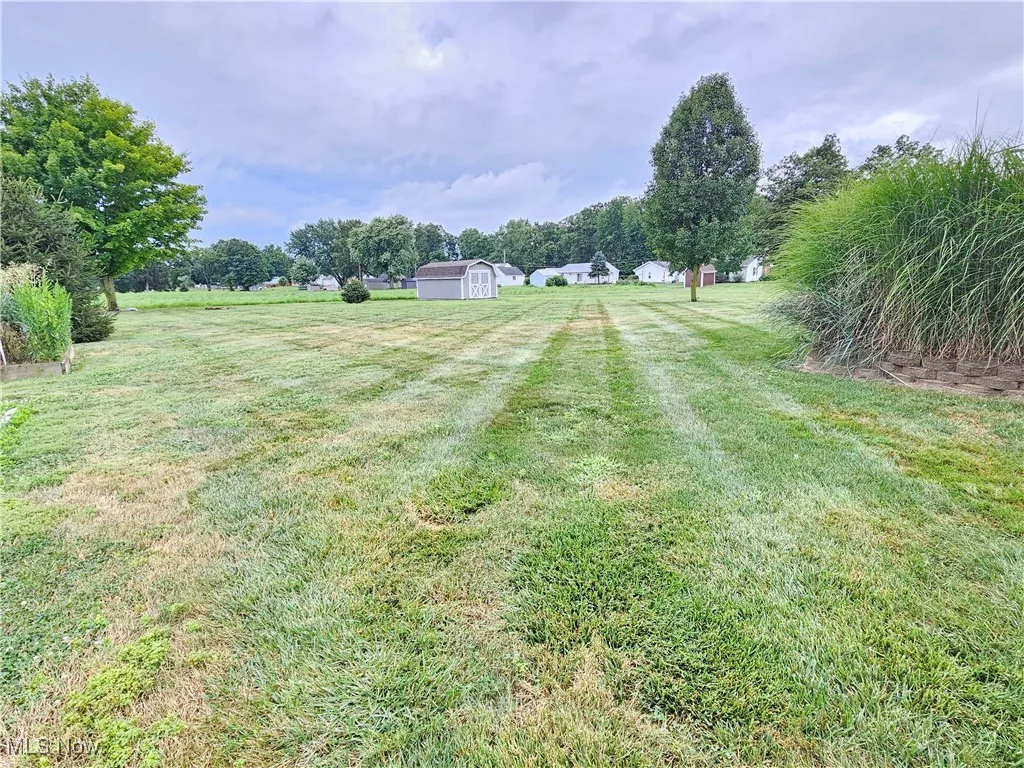 Expansive backyard