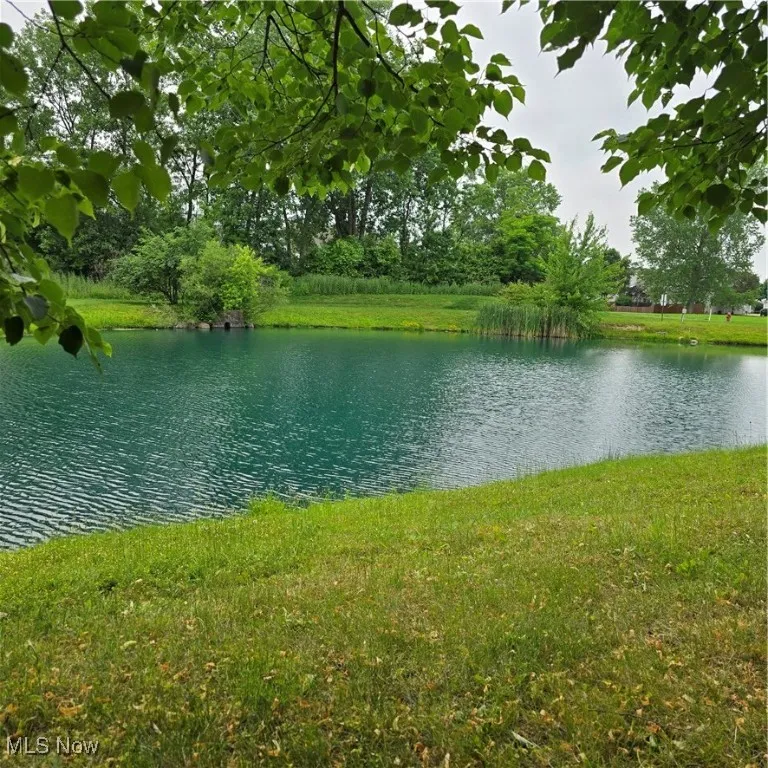 23002 Chandlers Lane # 346, Olmsted Falls, Ohio,MLS Now Listing ID