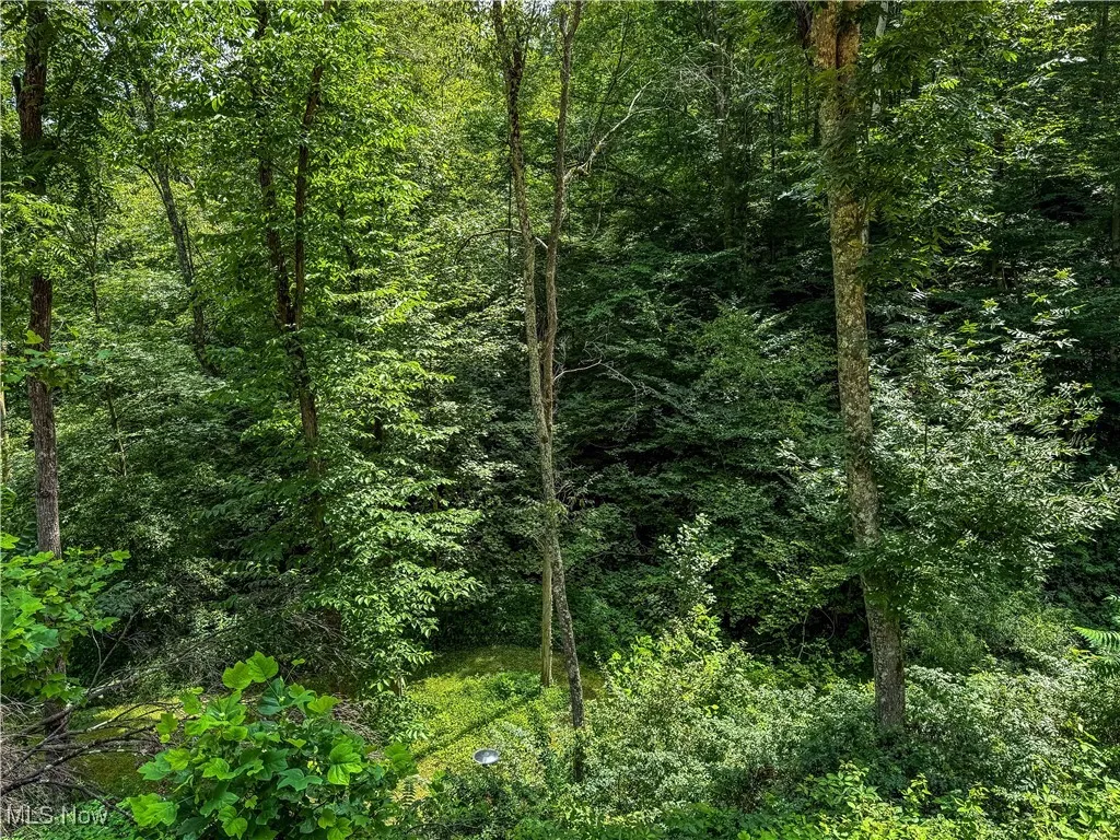39280 W Captina Highway, Barnesville, Ohio,MLS Now Listing ID