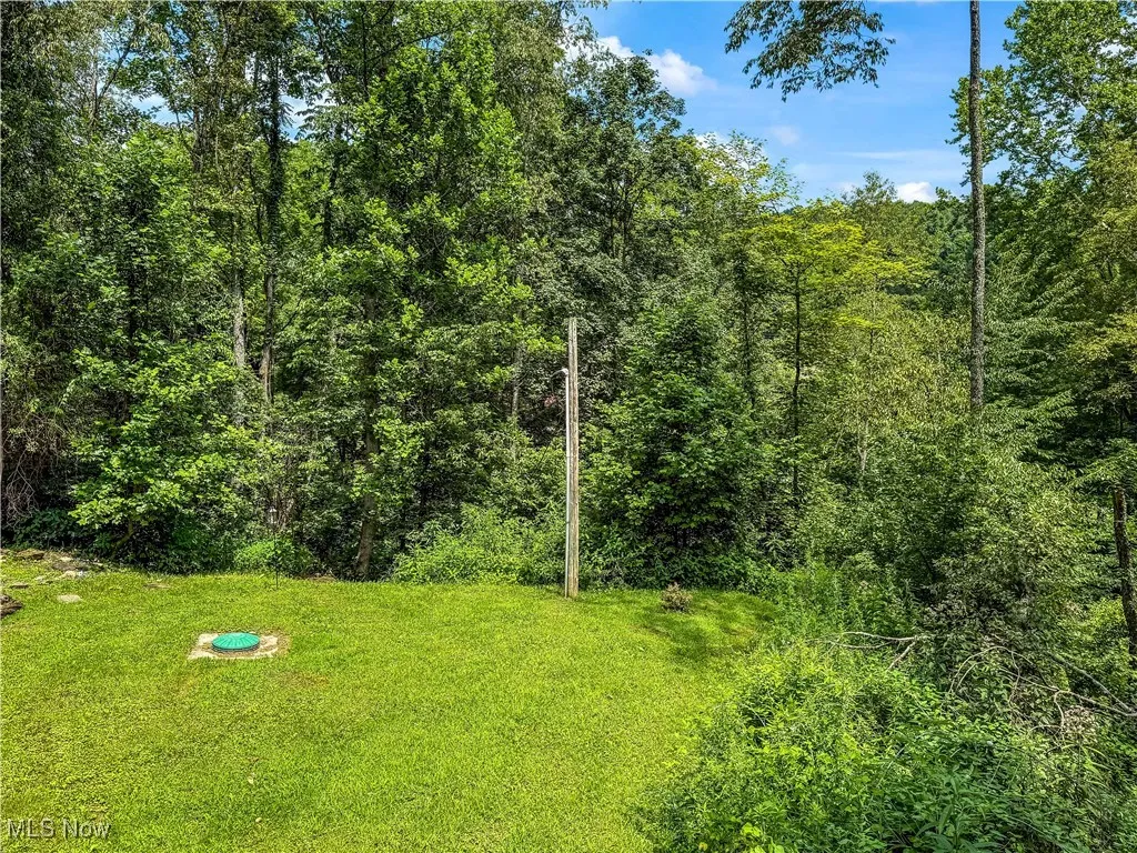 39280 W Captina Highway, Barnesville, Ohio,MLS Now Listing ID