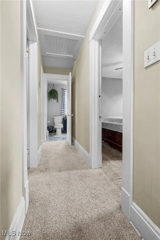 Hall with carpet and a textured ceiling
