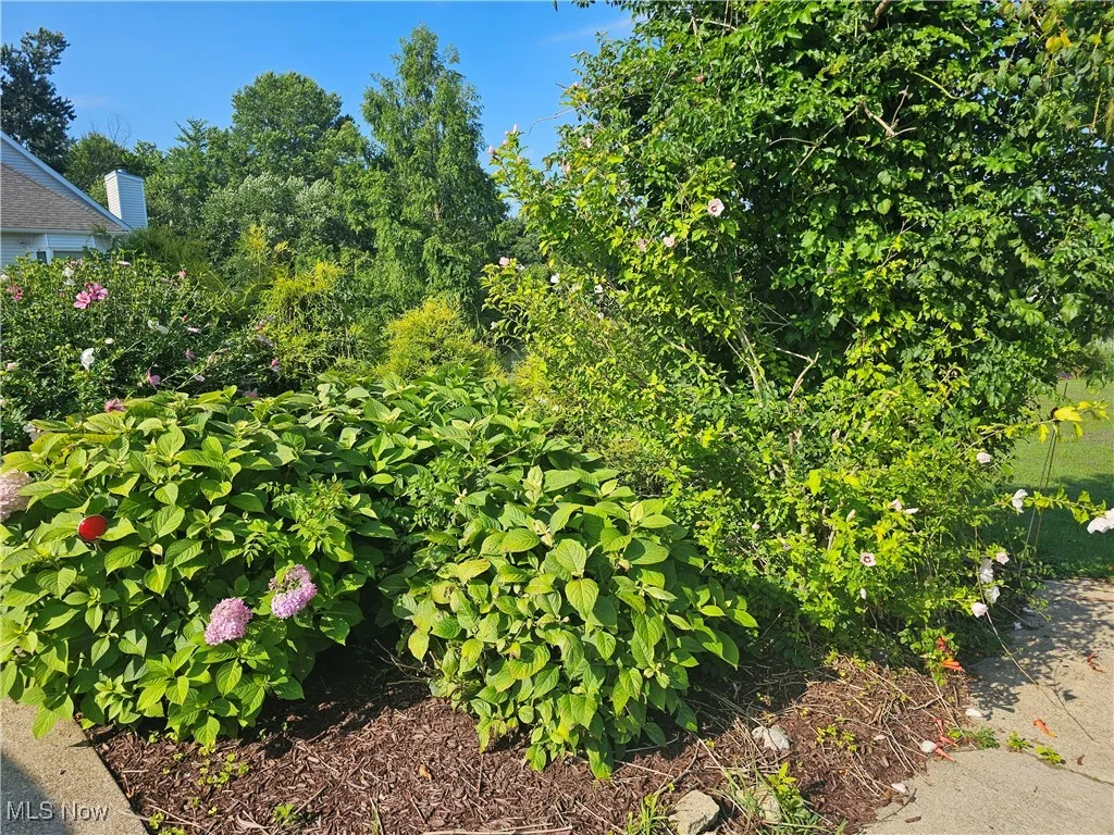 7380 Walters Road, Hudson, Ohio 44236,MLS Now Listing ID