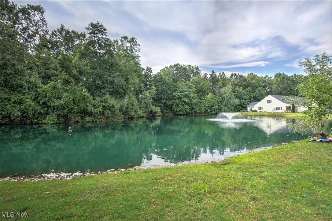 Water view with a forest