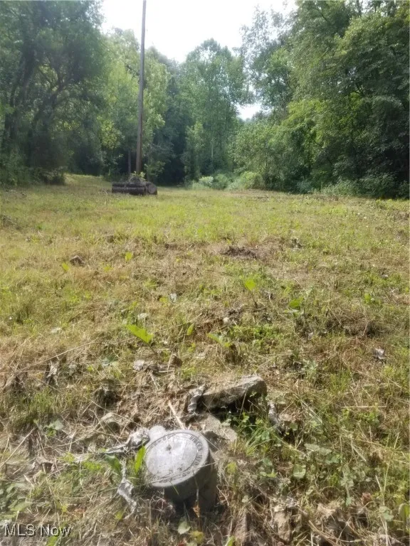 View of woods