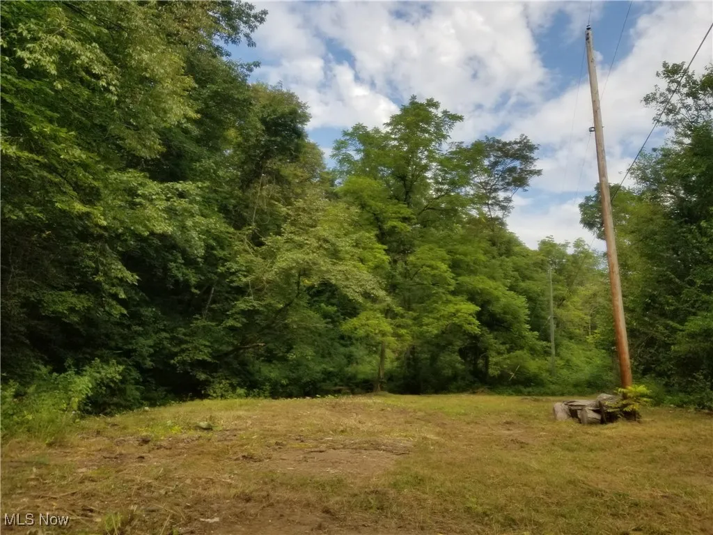 View of yard featuring a view of trees