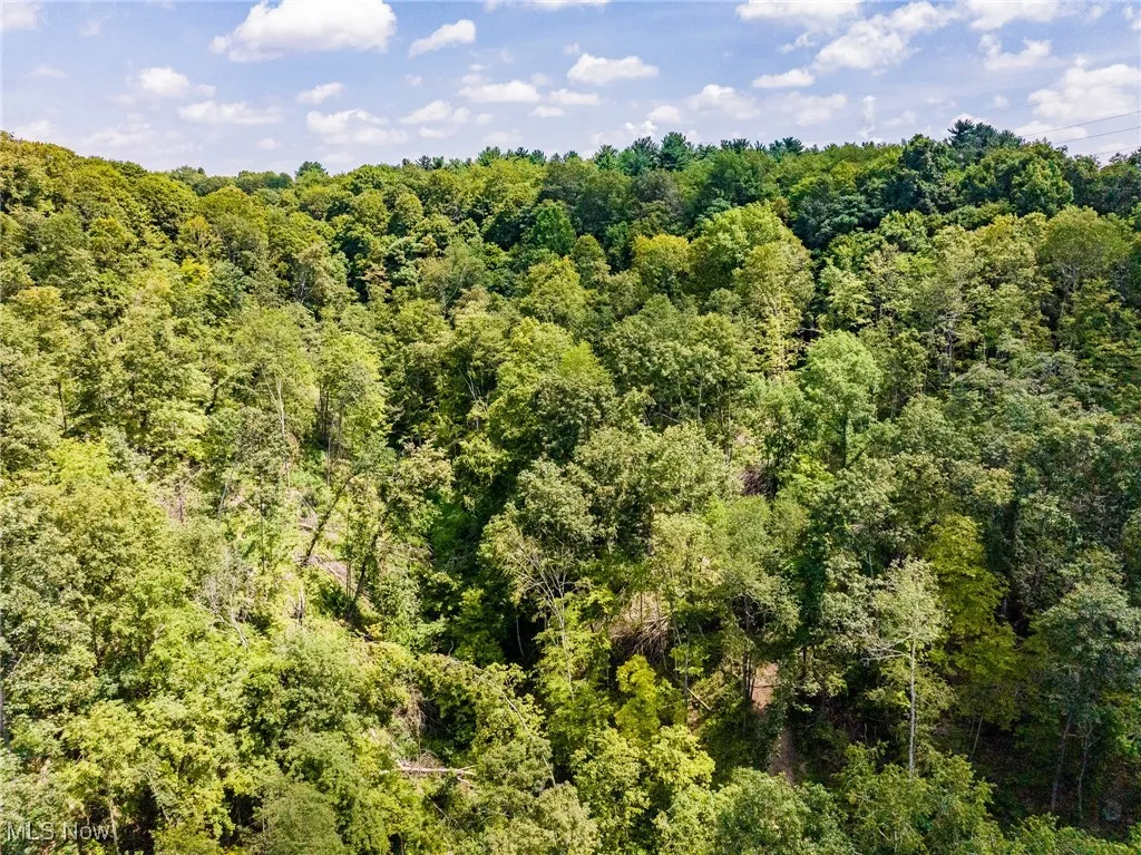 Bird's eye view of a heavily wooded area
