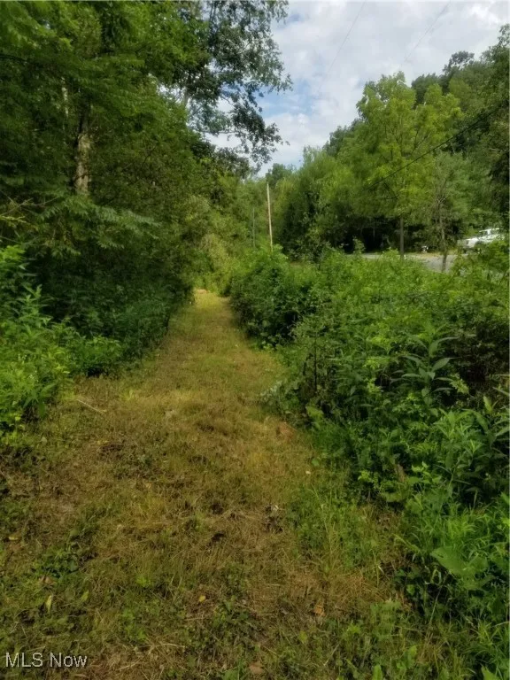 View of woods