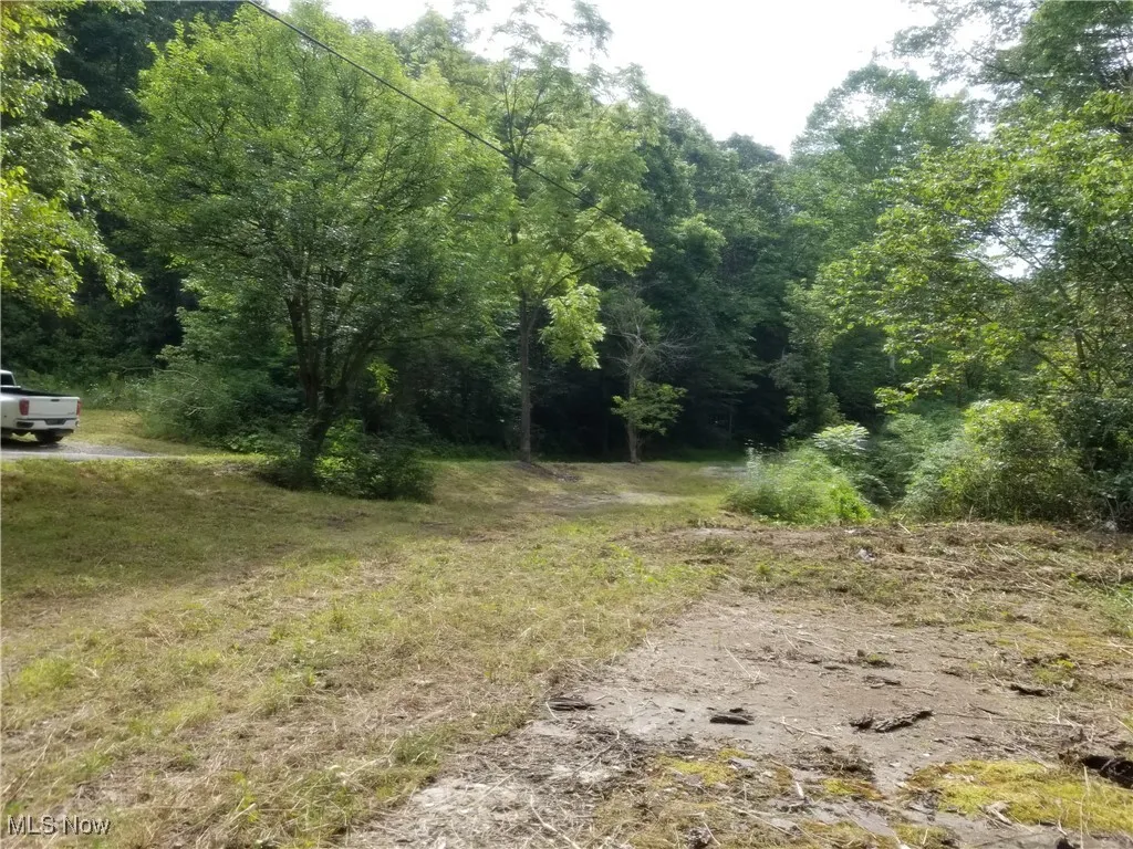 View of wooded area