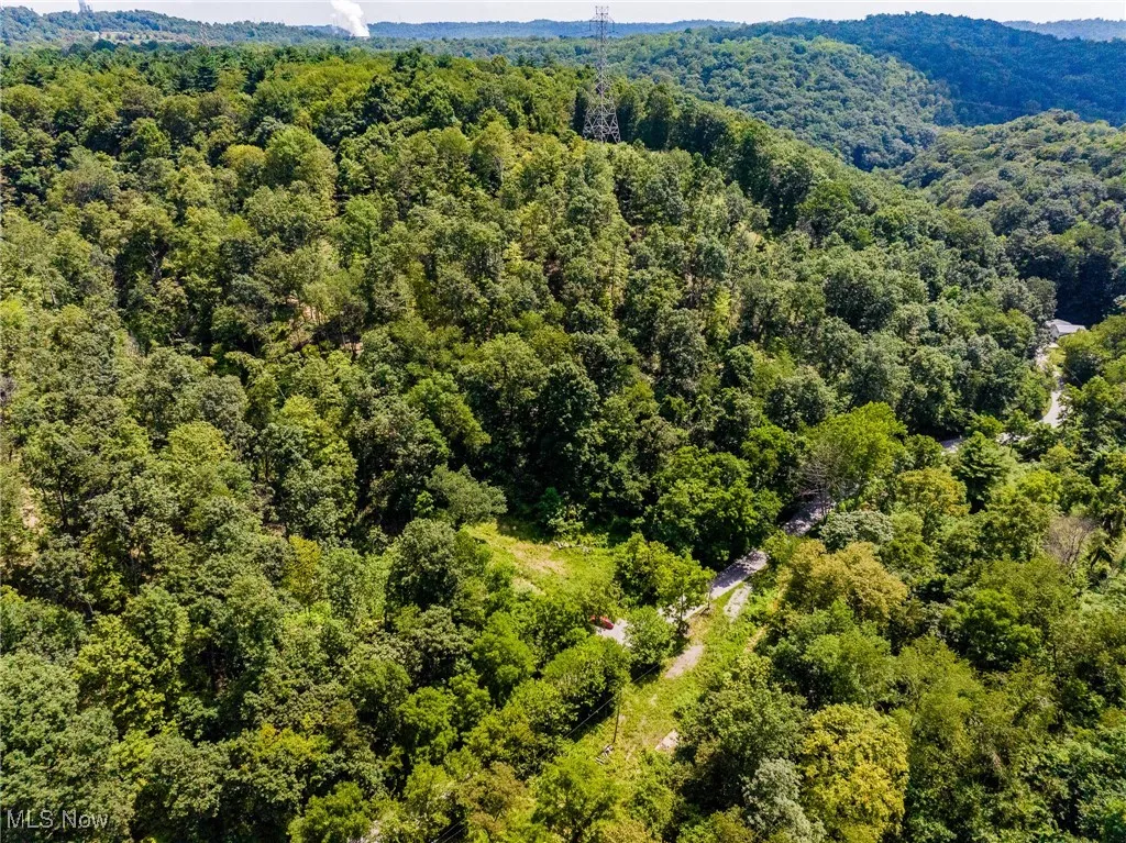 Bird's eye view of a forest