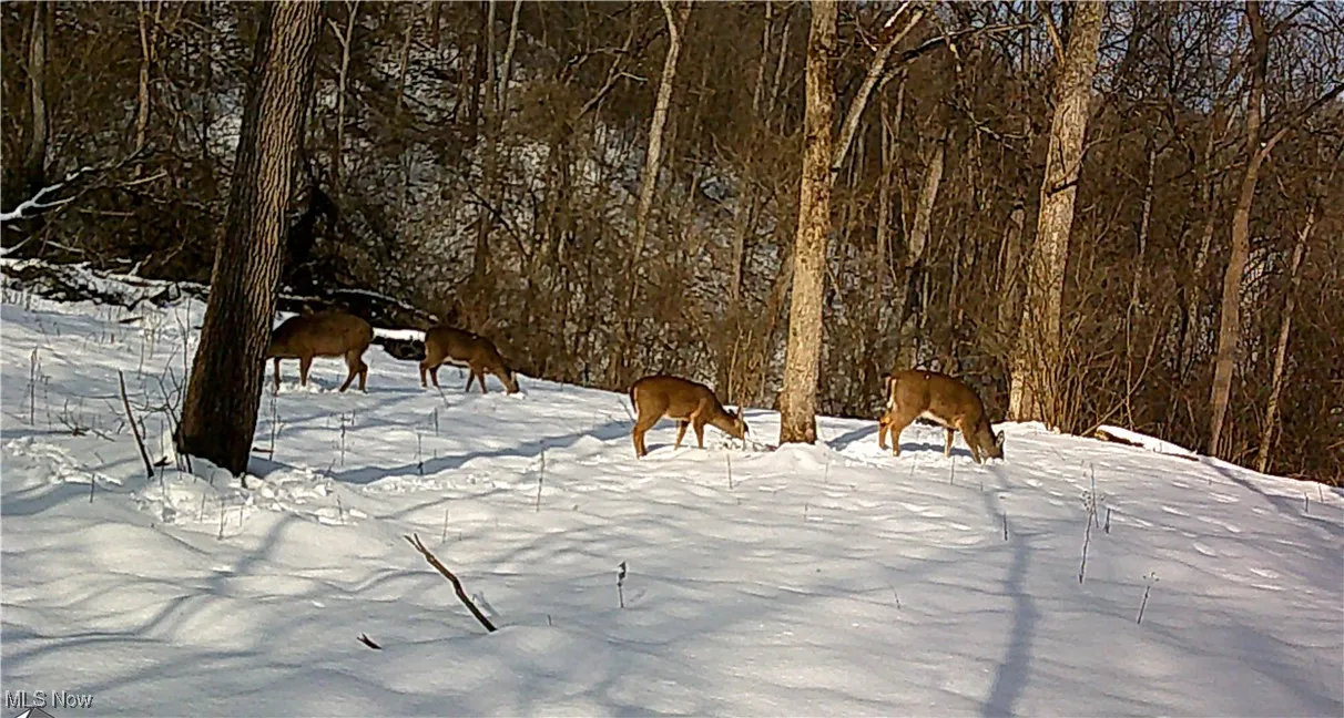 View of yard layered in snow