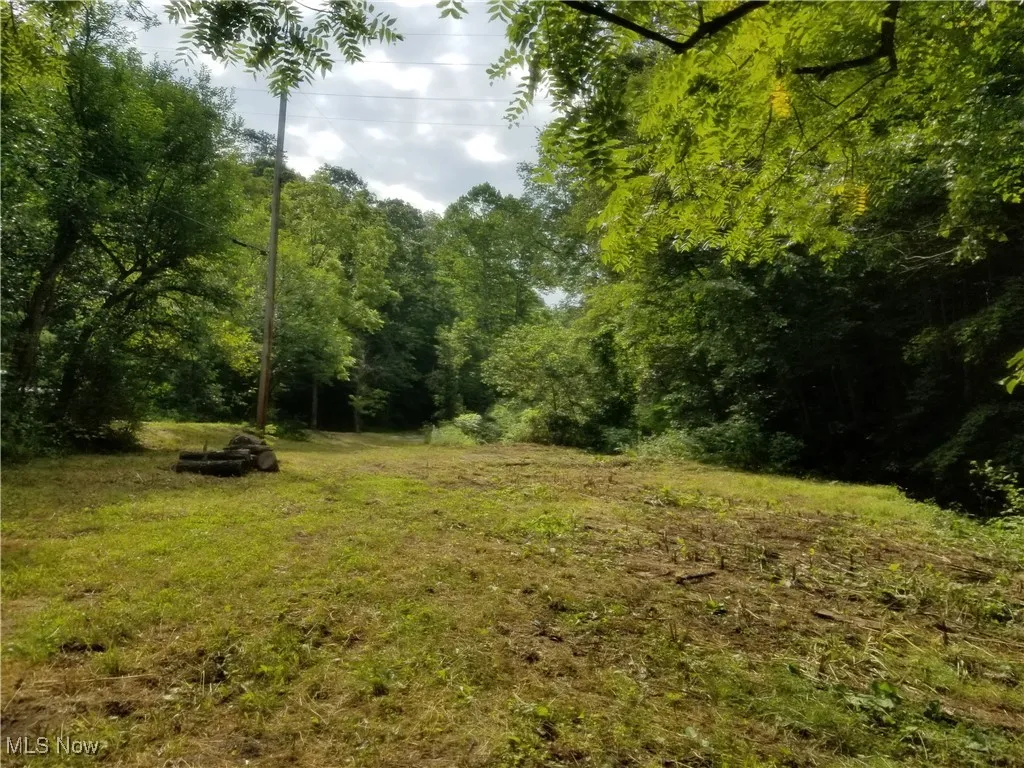 View of tree filled area