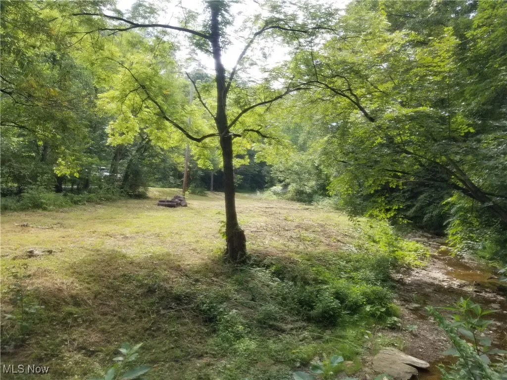 View of wooded area