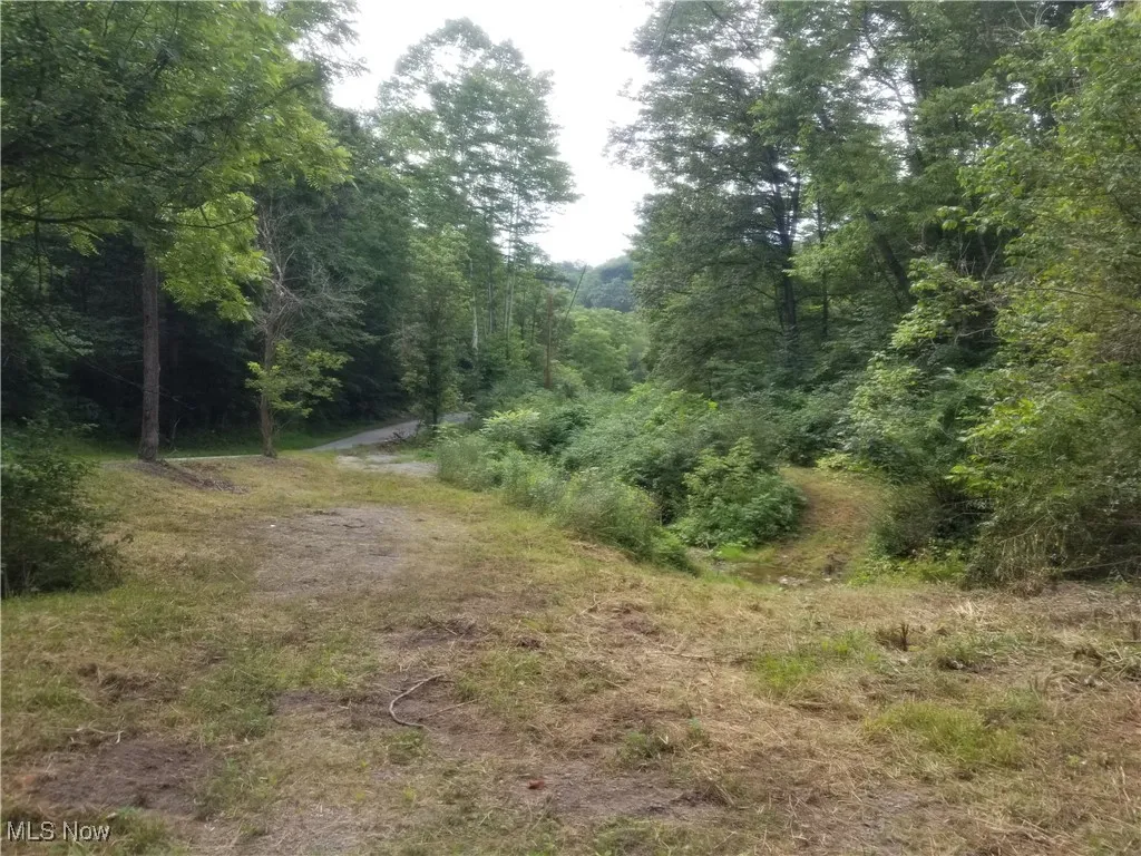View of wooded area