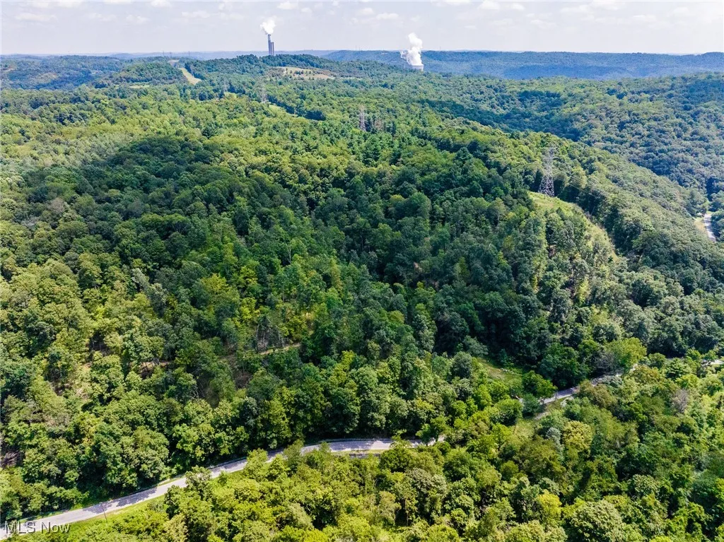 Aerial view of a forest