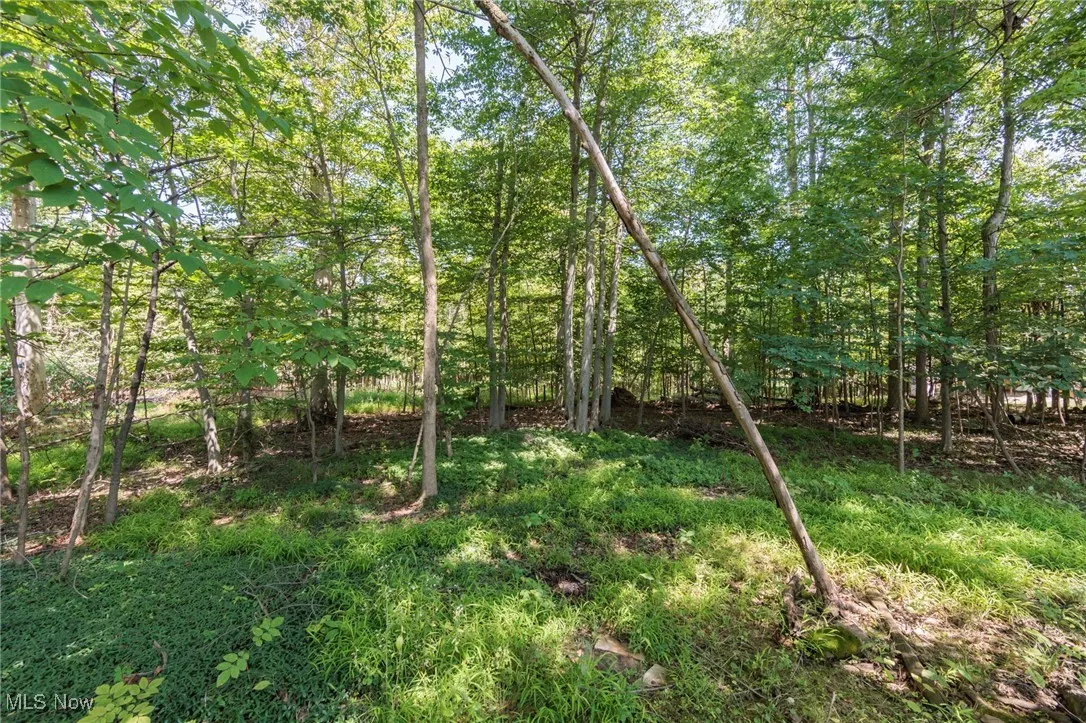 3957 Skyview Drive, Brunswick, Ohio,MLS Now Listing ID