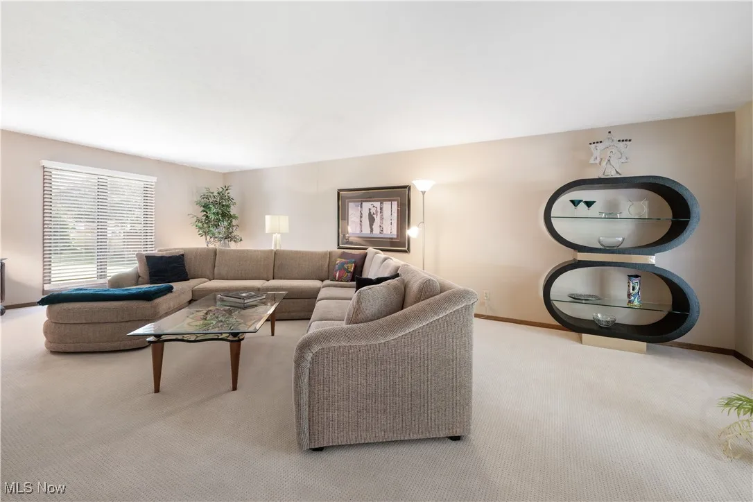 Living room featuring baseboards and carpet flooring