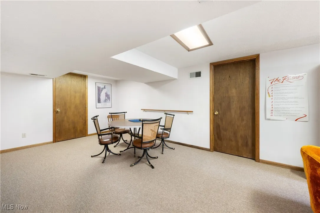 Lower level rec room