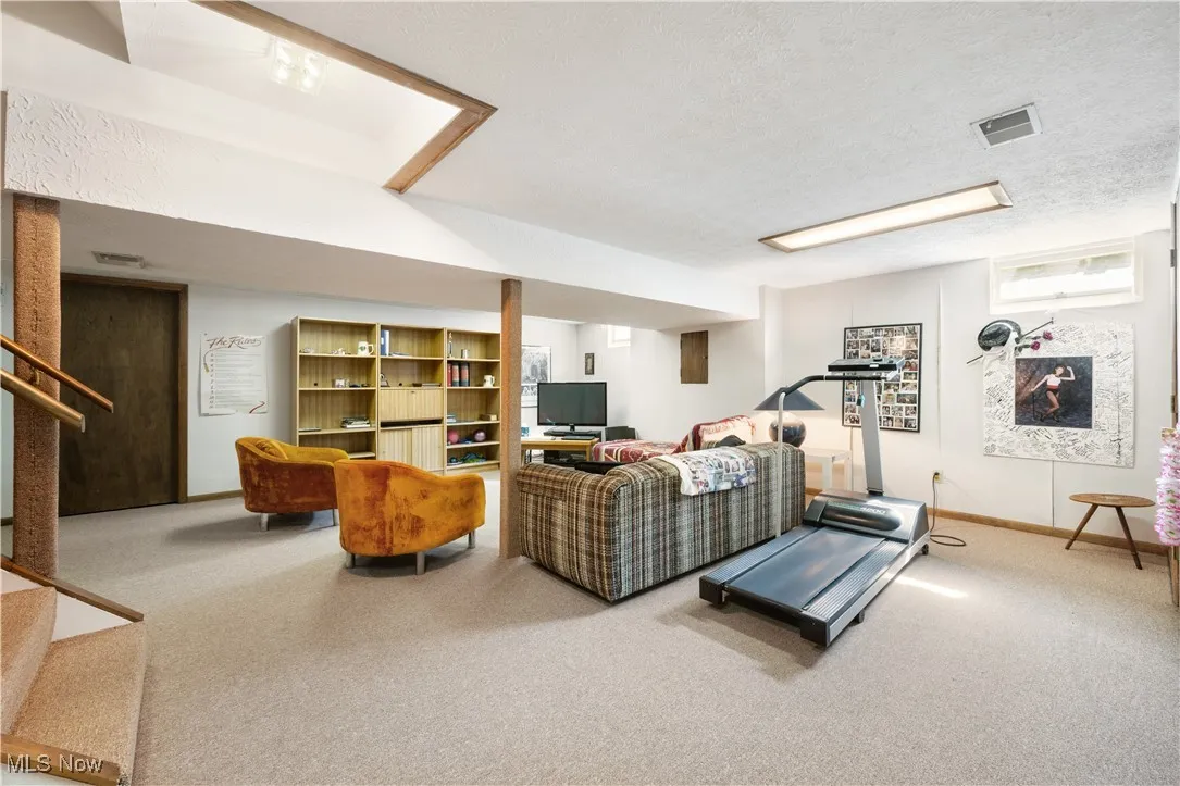 Lower level rec room