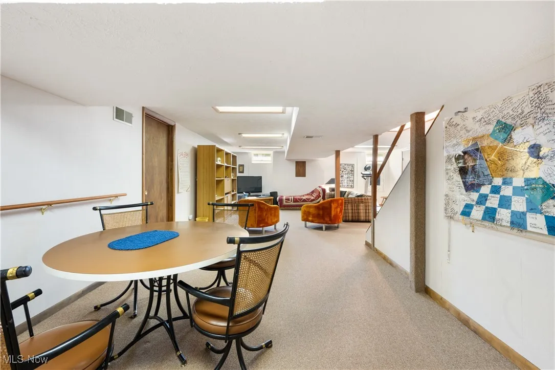 Lower level rec room
