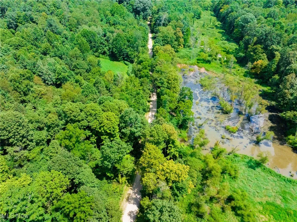 Aerial view of property and surrounding area featuring a heavily wooded area and a large body of water