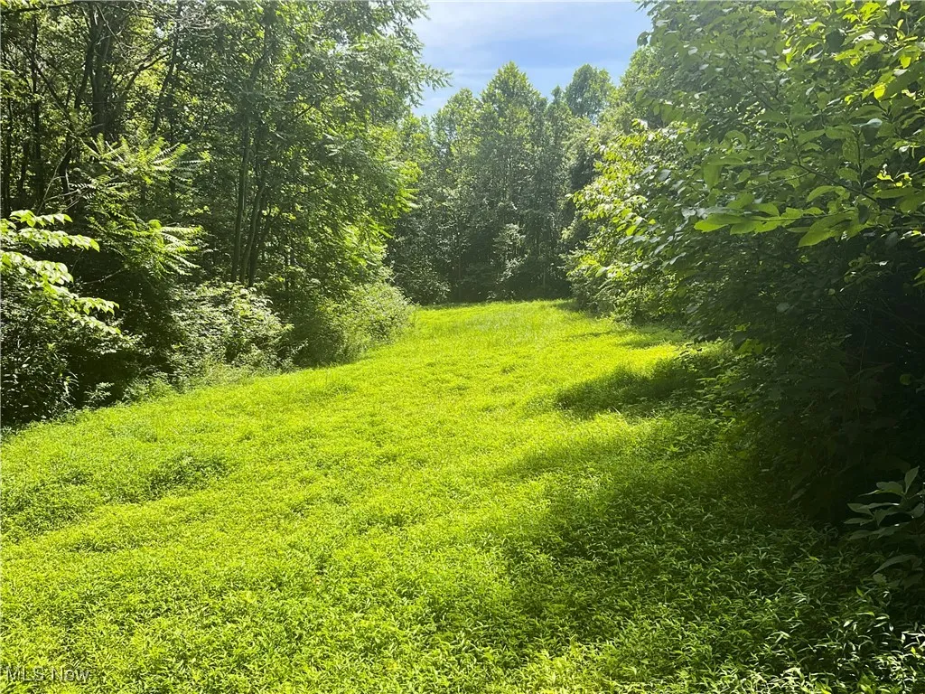 View of yard with a view of trees