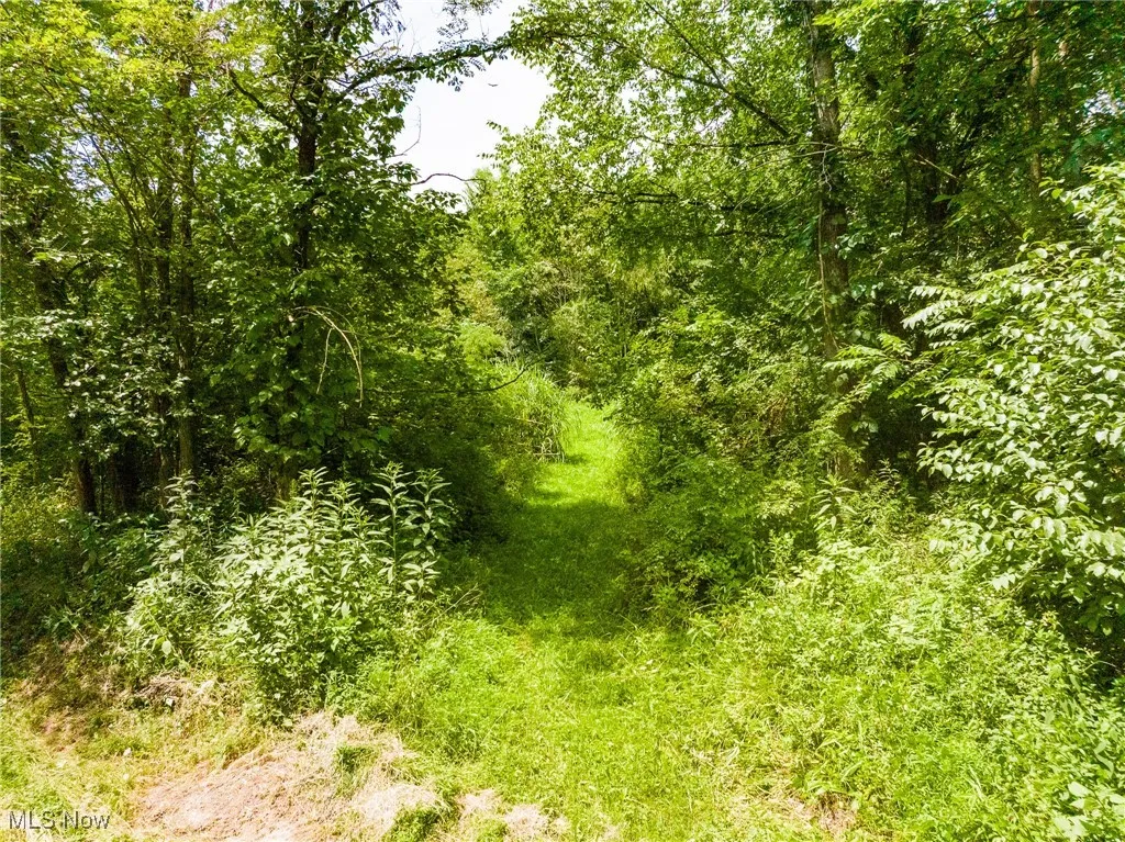 View of nature