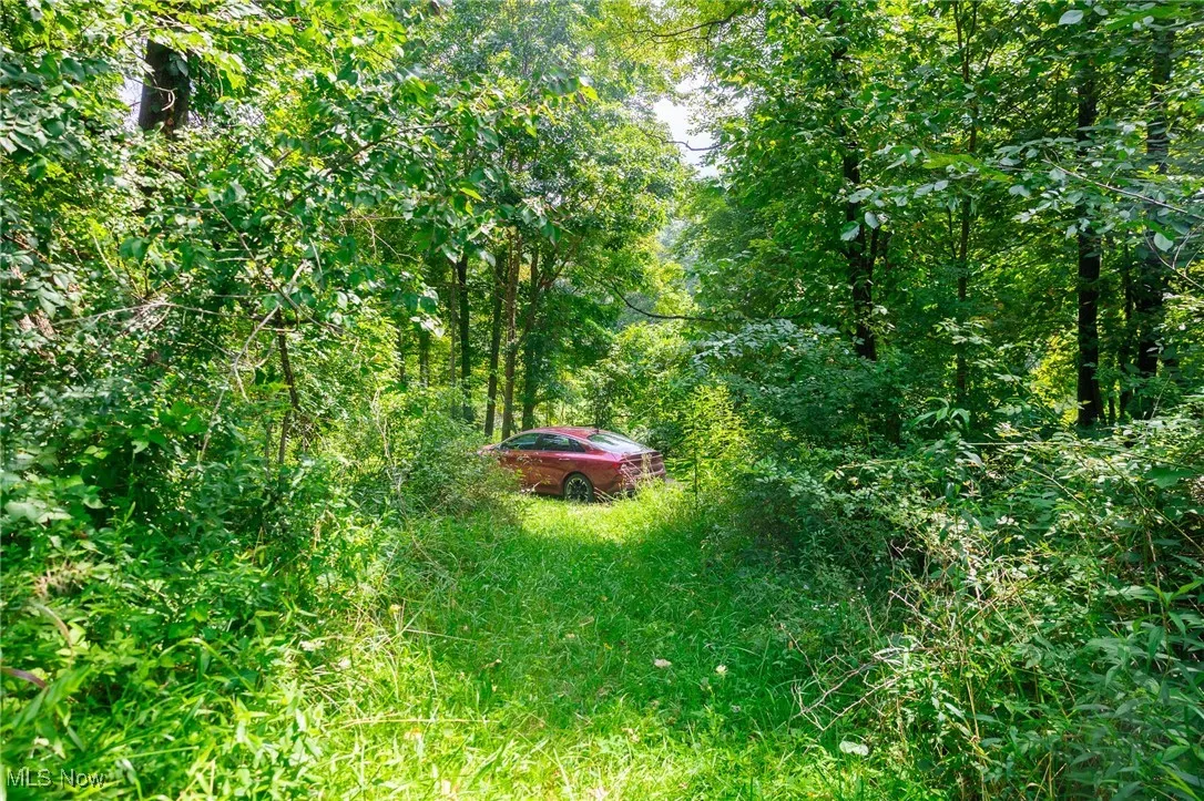 View of yard with a wooded view
