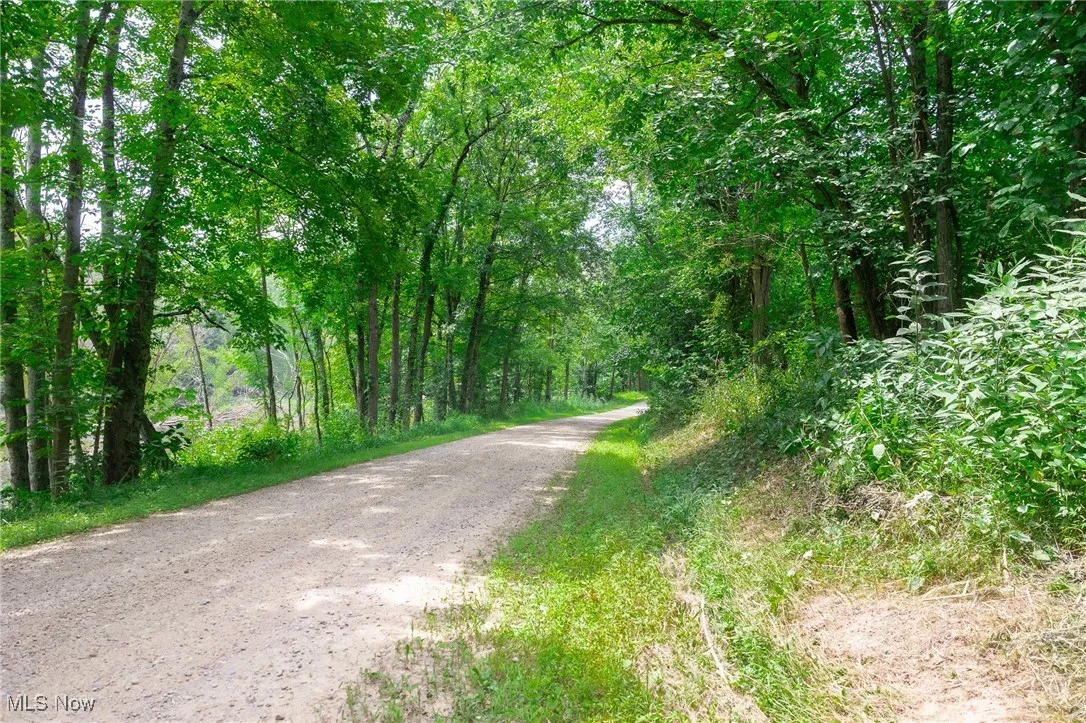 View of dirt / gravel road featuring a wooded view