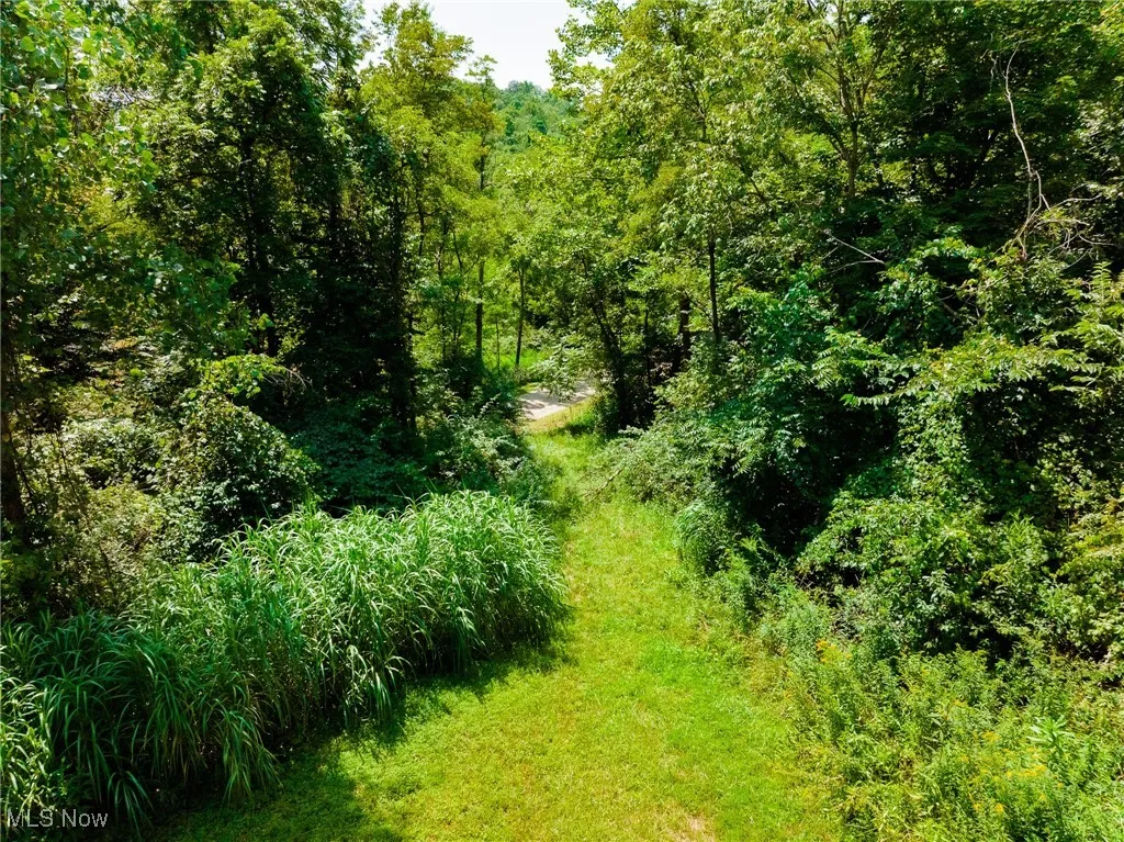 View of wooded area