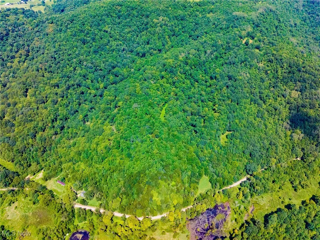 Aerial view of property's location with a forest