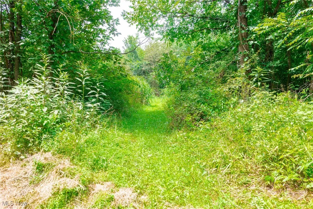 View of undeveloped land
