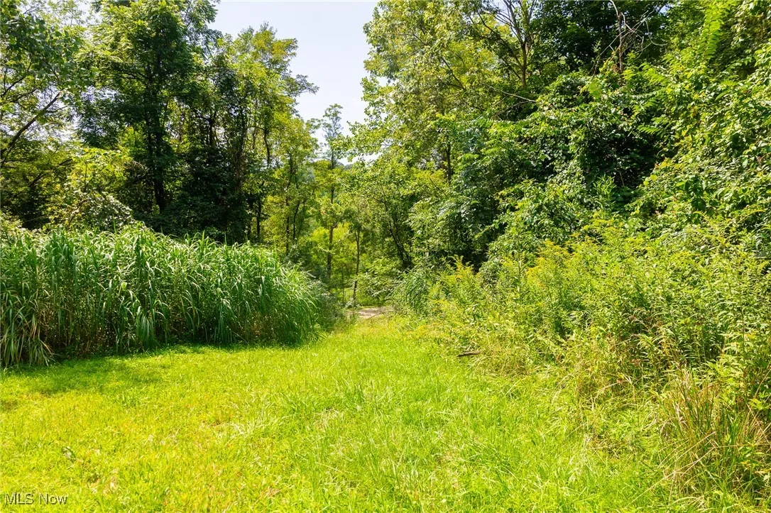 View of nature