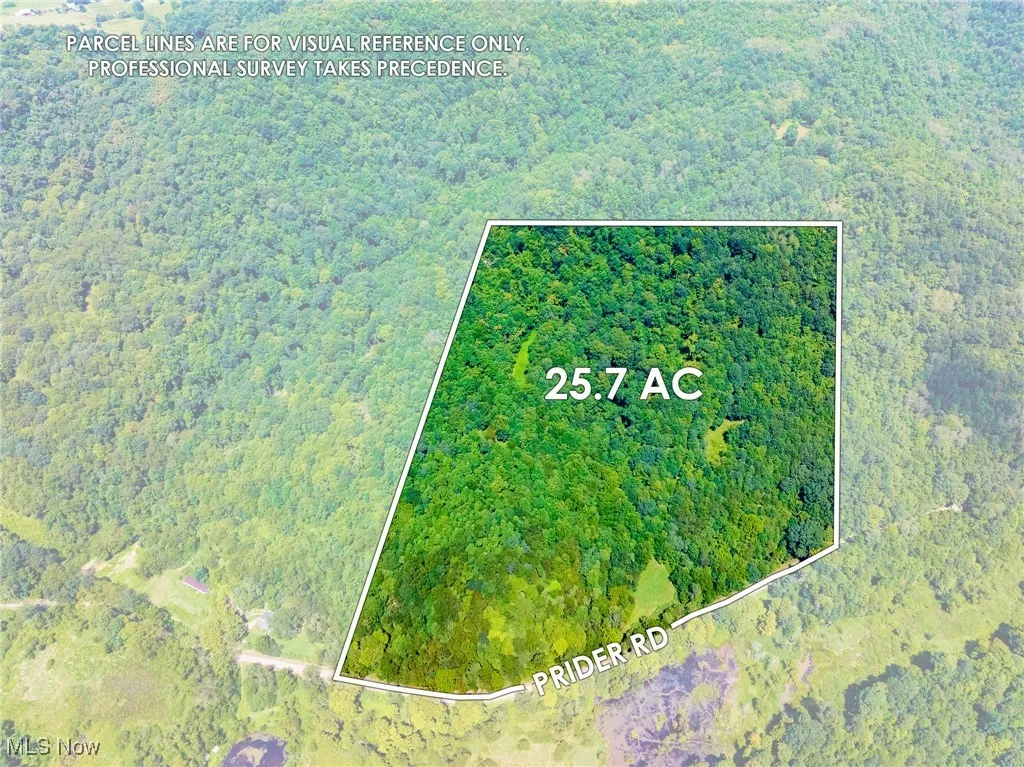 Aerial view of property and surrounding area with a heavily wooded area and property boundaries highlighted