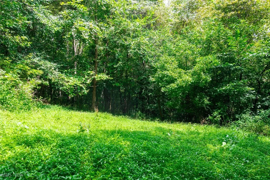 View of wooded area