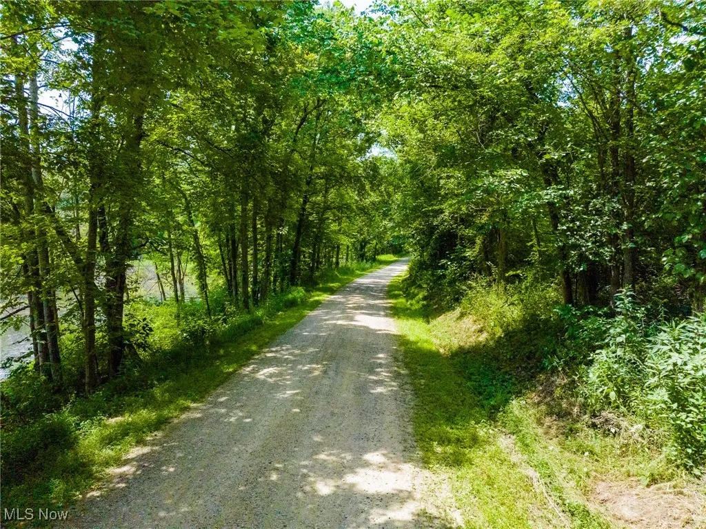 View of road with a view of trees