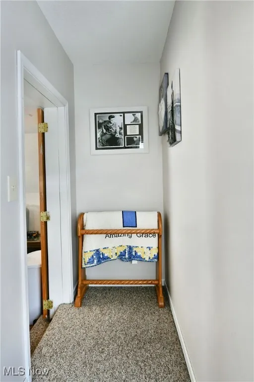 rear entry bonus area with carpet flooring and baseboards