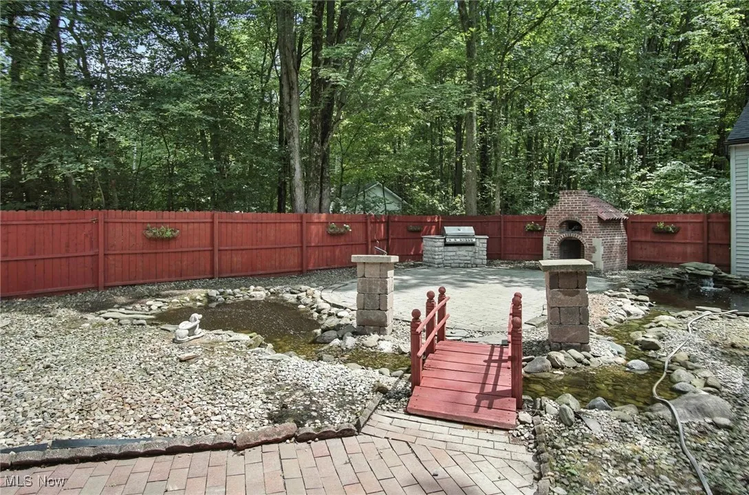 Back yard