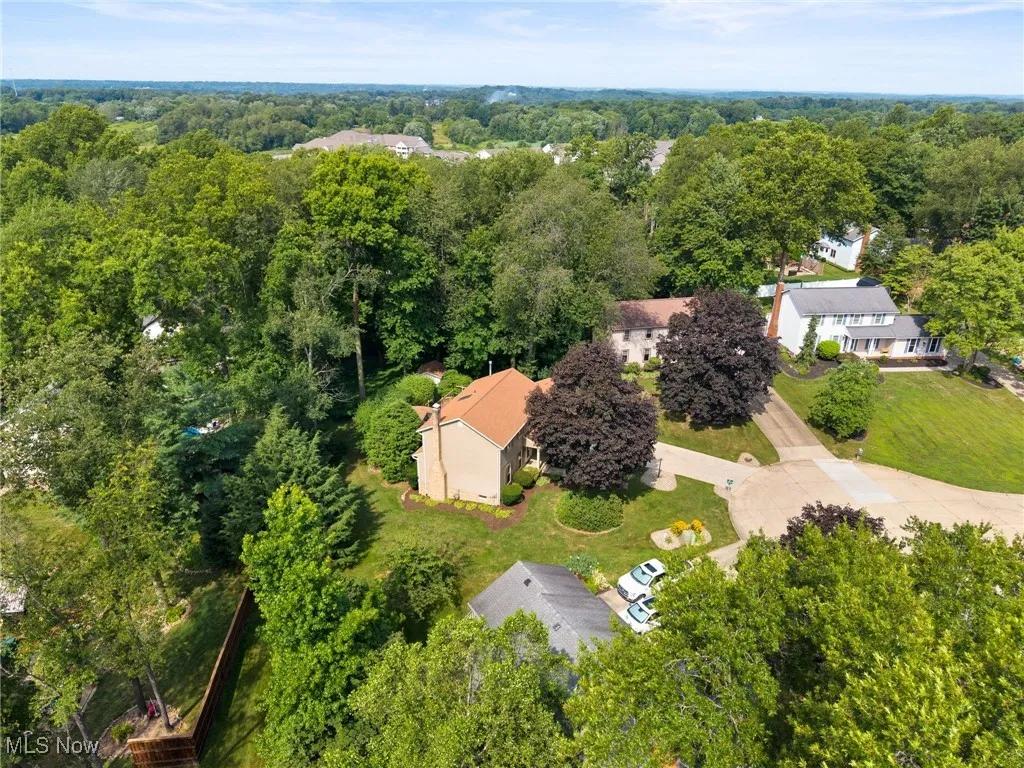 Drone / aerial view of a forest