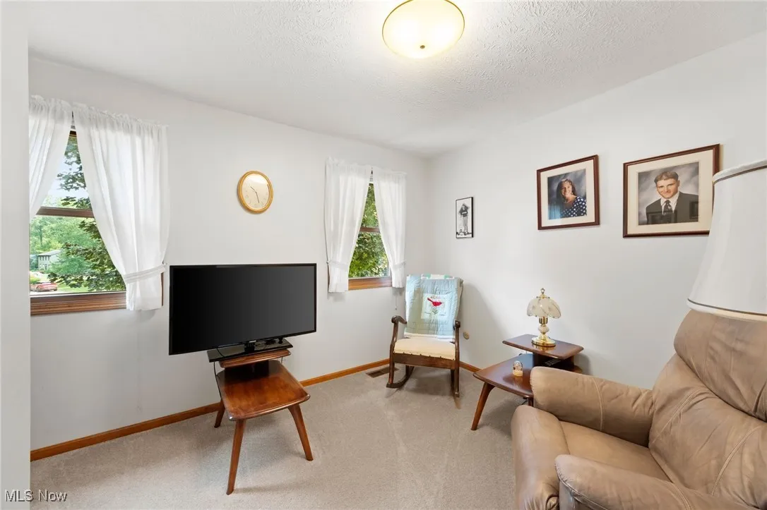 Sitting room featuring light carpet and a textured ceiling