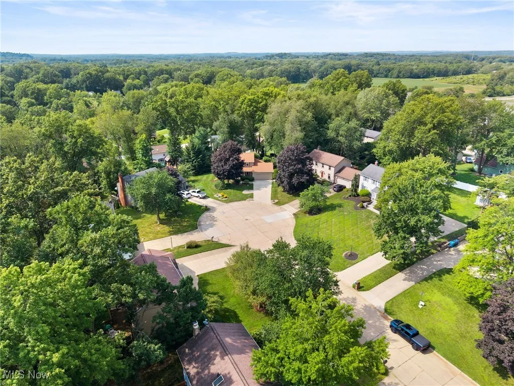 Drone / aerial view of a forest