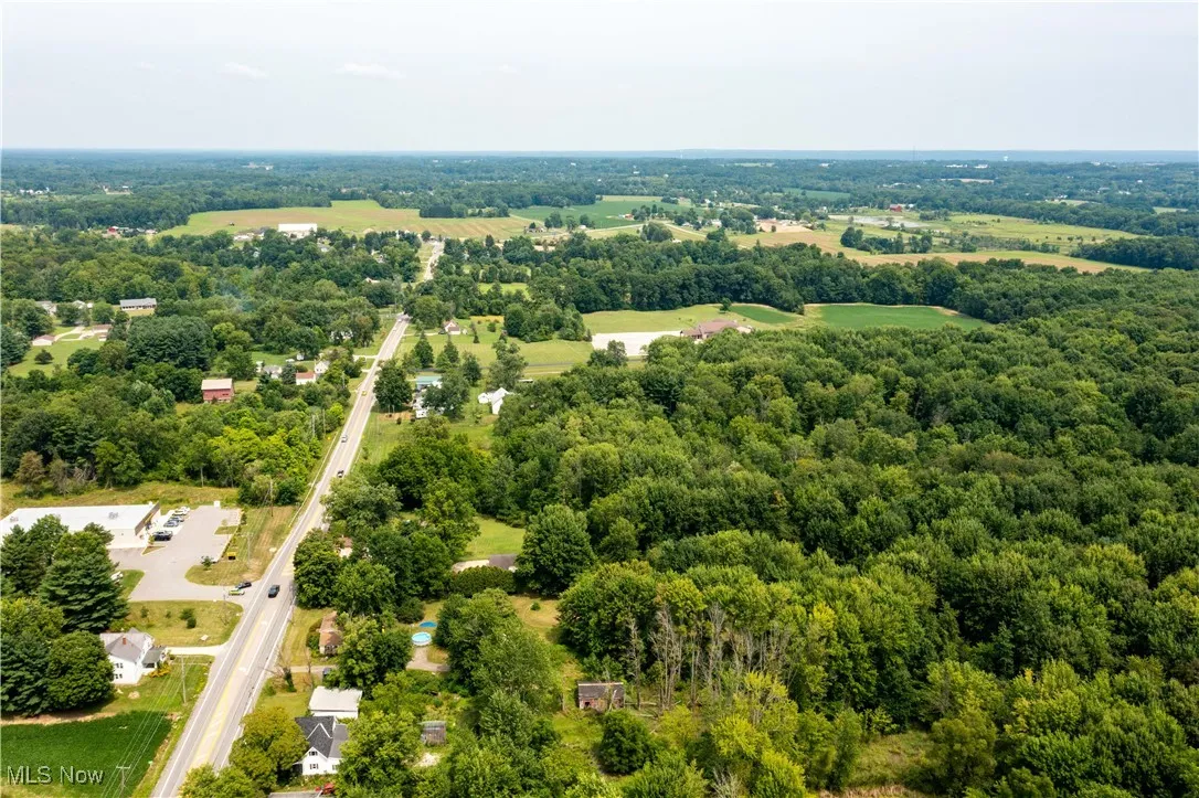 Bird's eye view of a forest