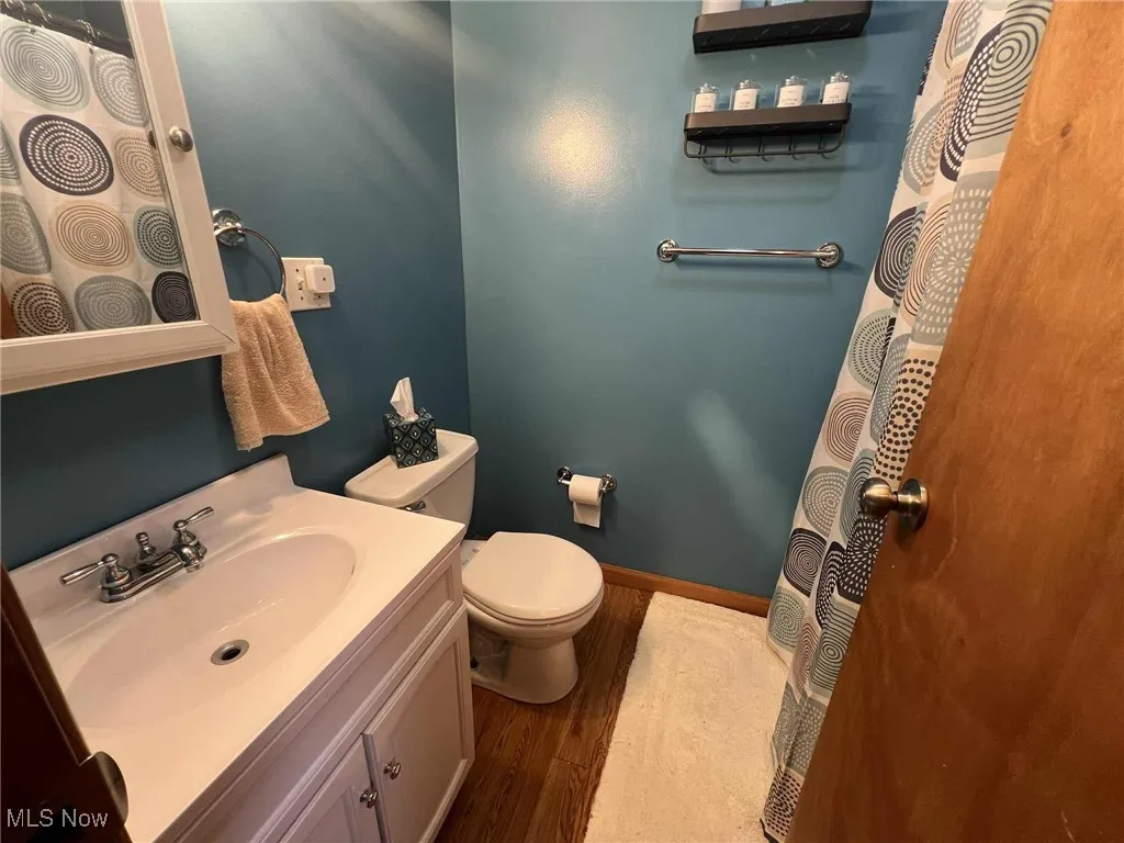 Bathroom featuring wood finished floors, vanity, and a shower with shower curtain