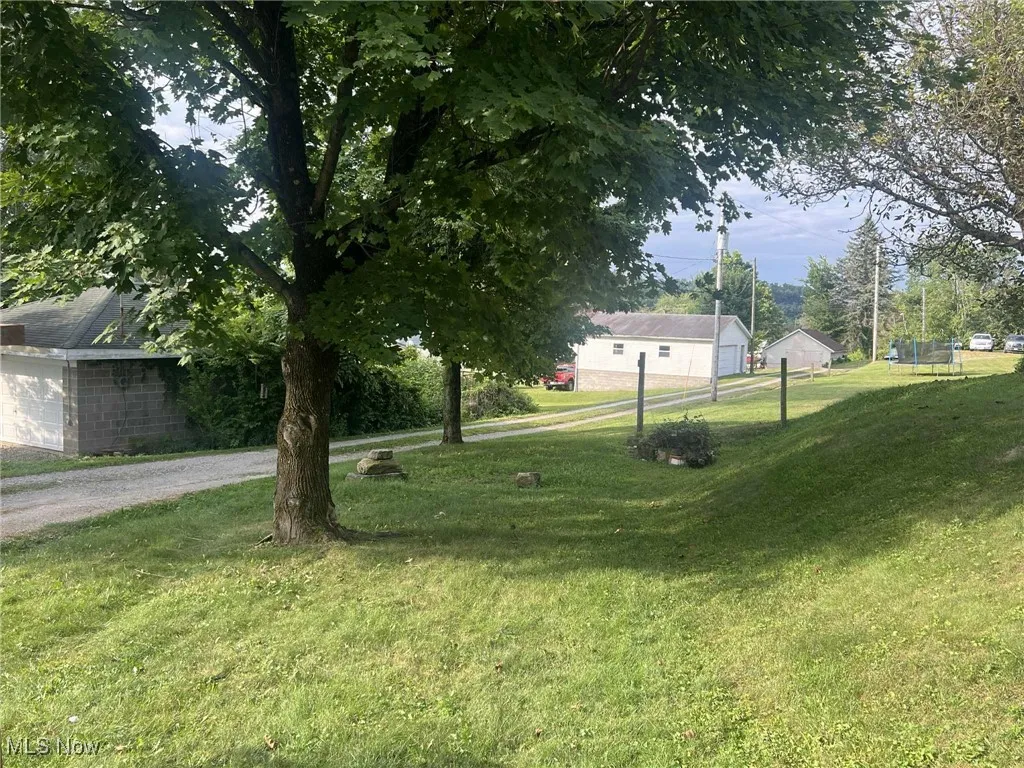 View of grassy yard