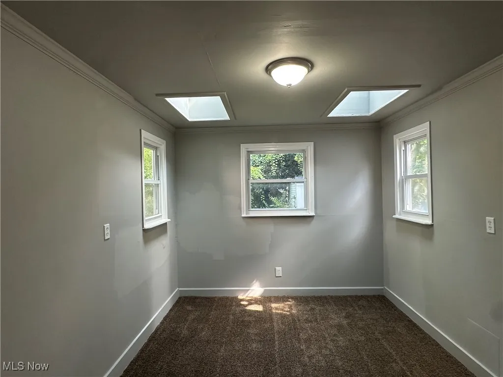 Empty room with crown molding, a skylight, and dark colored carpet