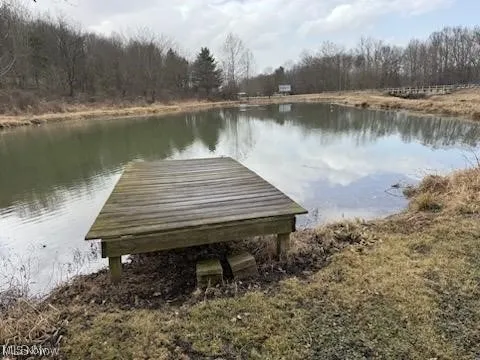 Dock with a water view