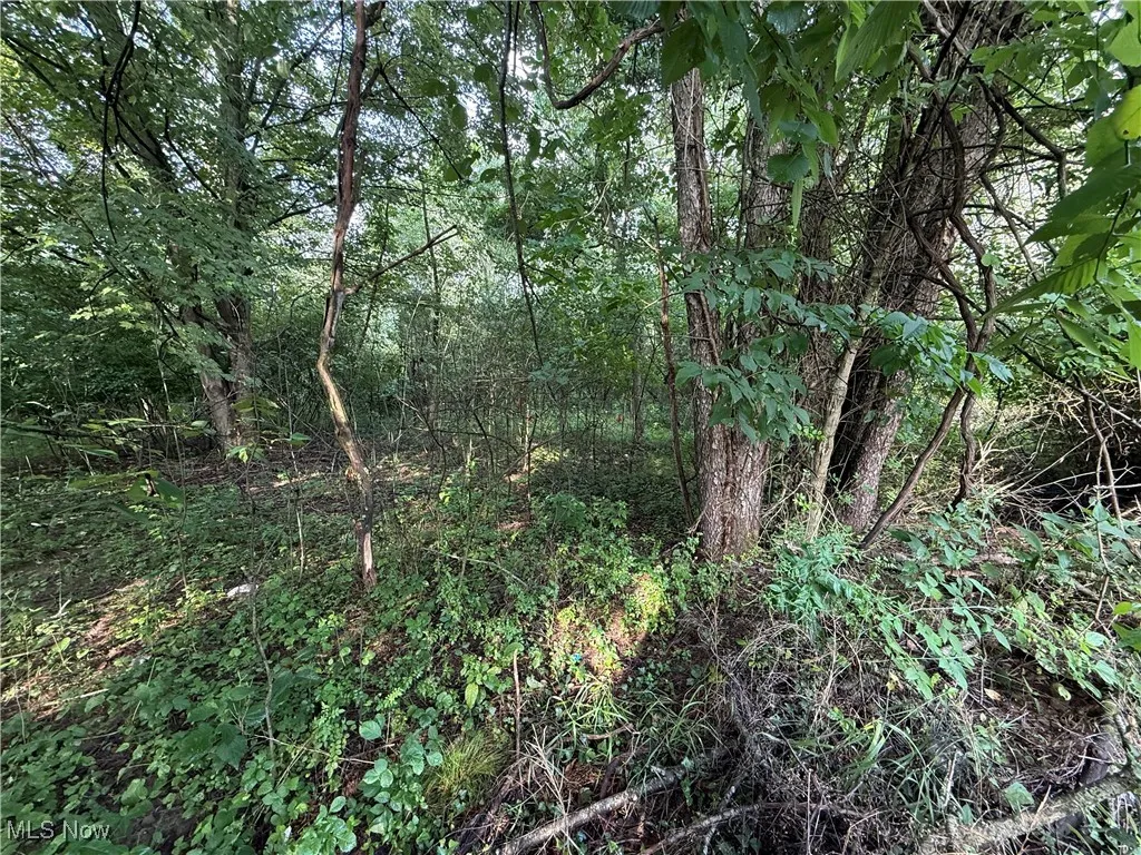 View of undeveloped land