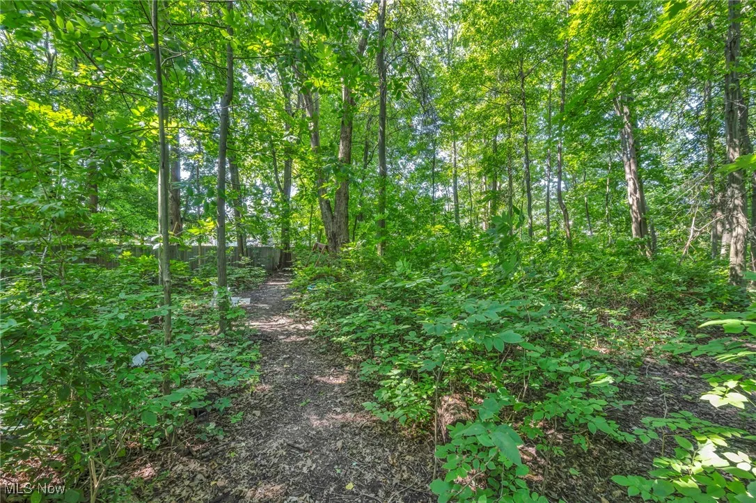 1000 Meigs Avenue, Painesville, Ohio 44077,MLS Now Listing ID