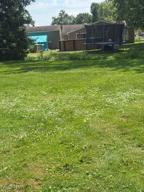 View of green lawn with a trampoline