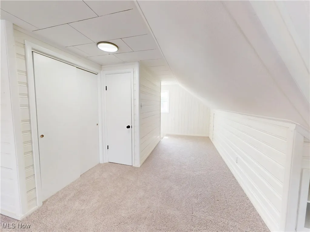 Additional living space featuring carpet floors, vaulted ceiling, and wood walls