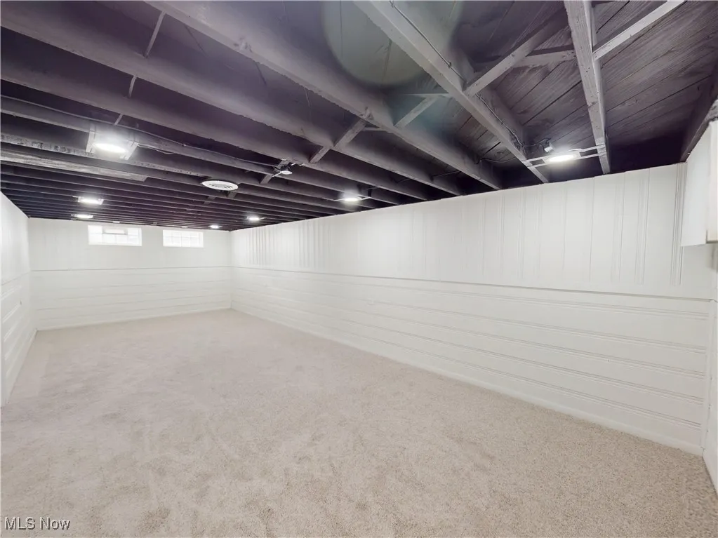 Basement featuring carpet floors